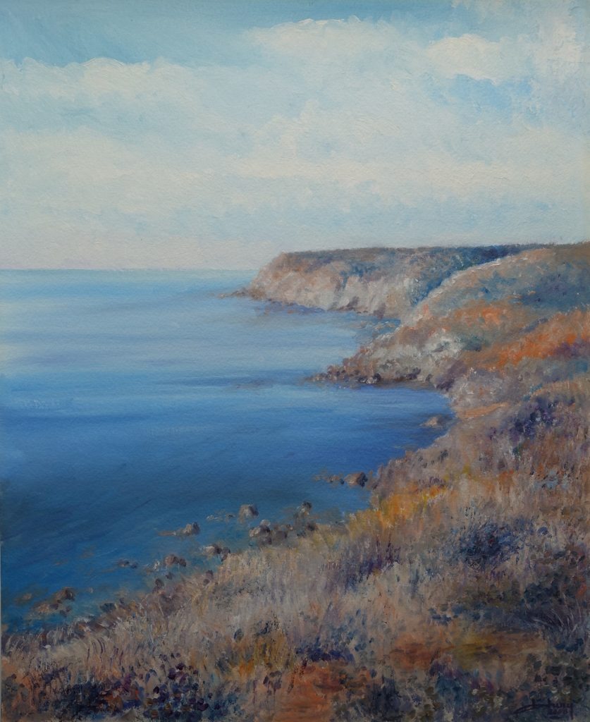 Panorama Vu De La Pointe Du Hoc, Manche 61 X 50 Cmdsc01046 (2)
